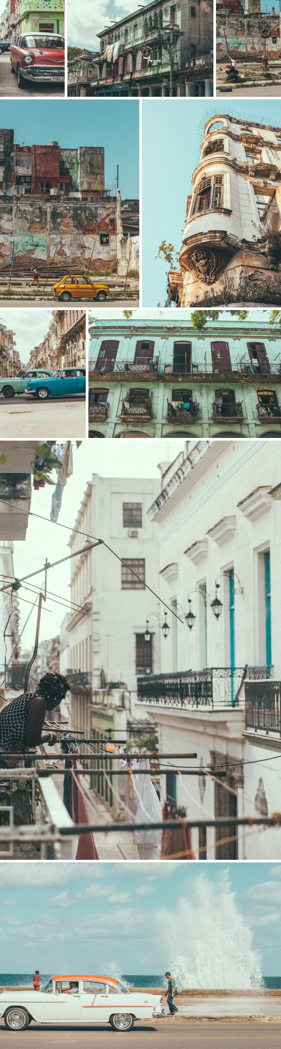 Collage 12