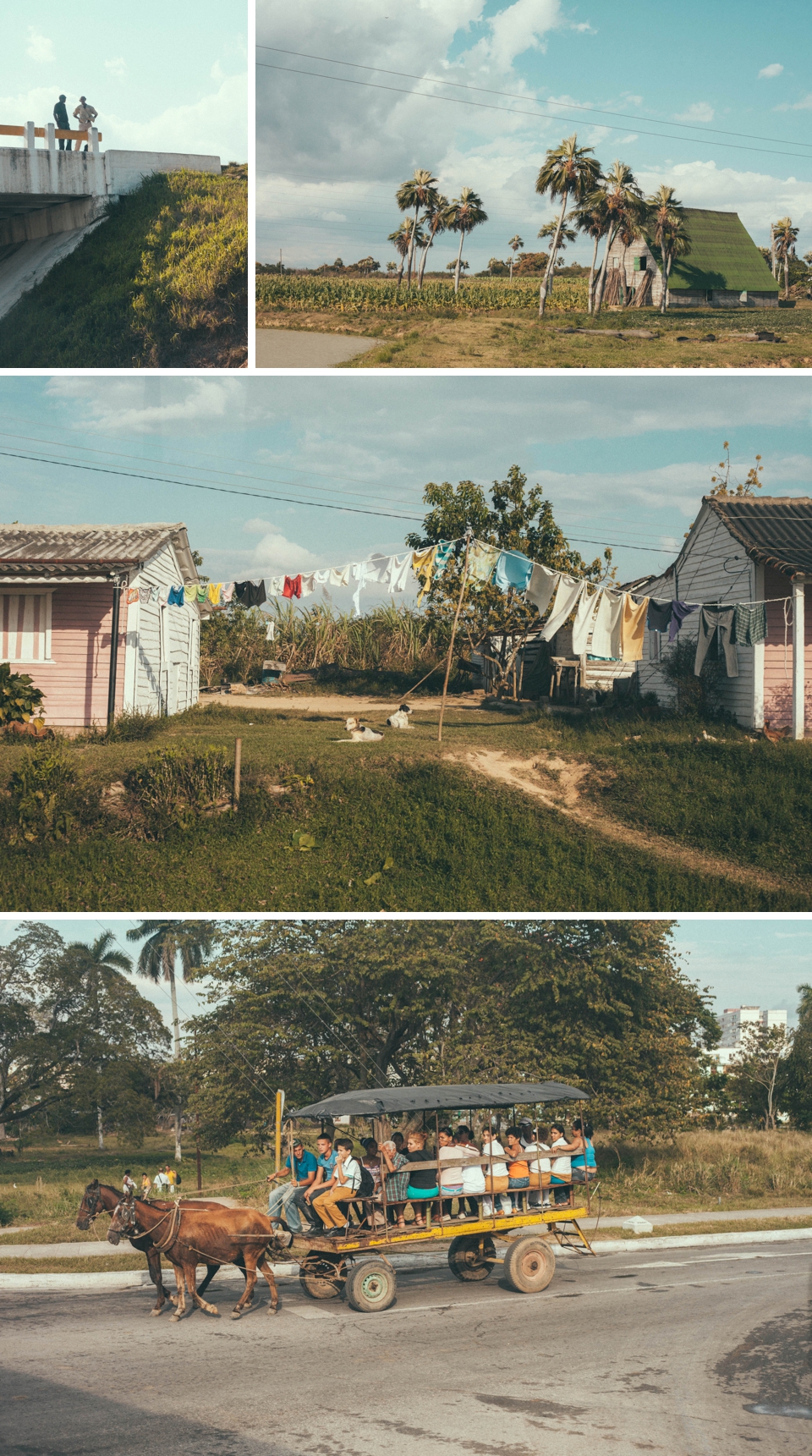 Collage 2