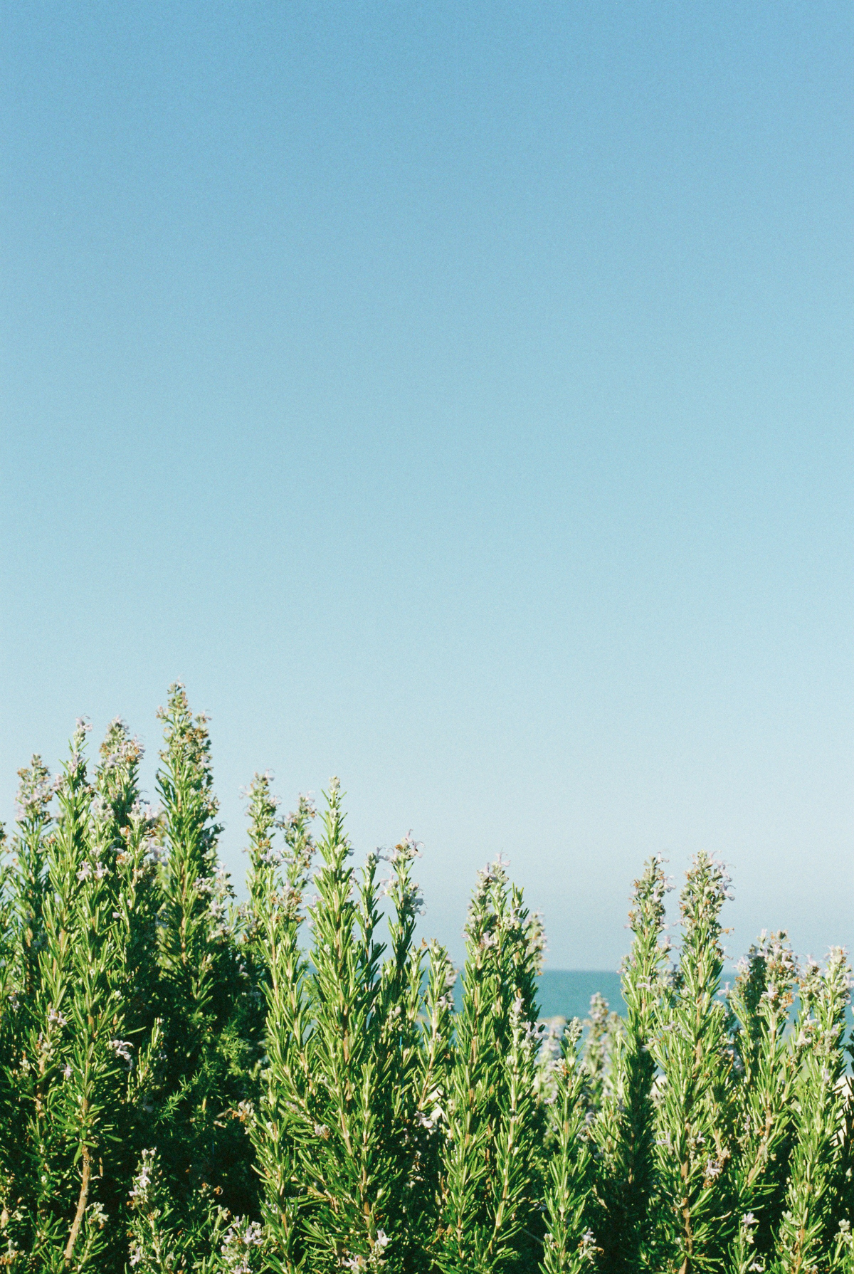 lets_try-46